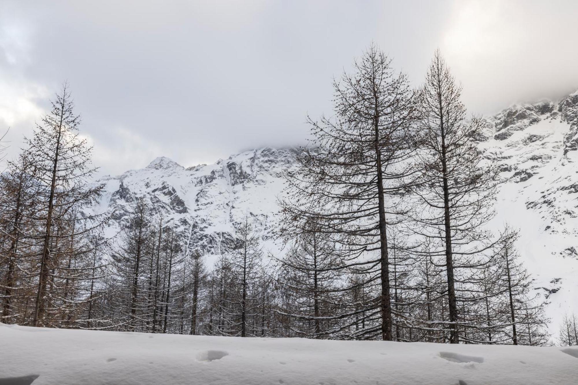 Erikzang - Cervinia Ski In Ski Out Apartments Breuil-Cervinia Eksteriør bilde